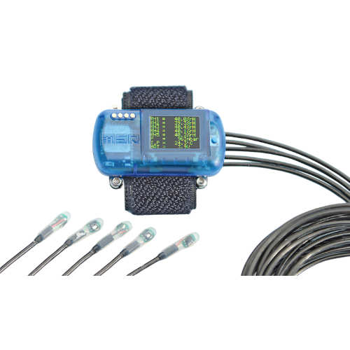 Datalogger MSR147W2D